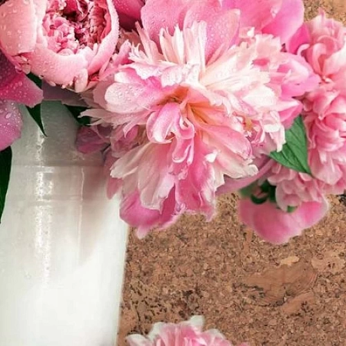 VICO NAT ПРОБКОВОЕ ПОКРЫТИЕ CORKSTYLE ПРОБКОВЫЕ ПАНЕЛИ ДЛЯ СТЕН WALL DESIGN